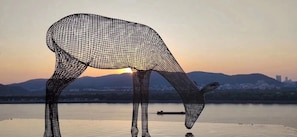 Una gran escultura de alambre con forma de animal junto a un cuerpo de agua, con un paisaje urbano al fondo.
