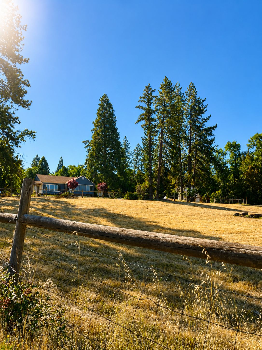 Une propriétéClose, avec une maison, de grands arbres et un ciel dégagé.