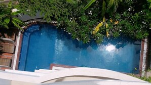 Une piscine avec des marches descendantes, entourée de verdure.