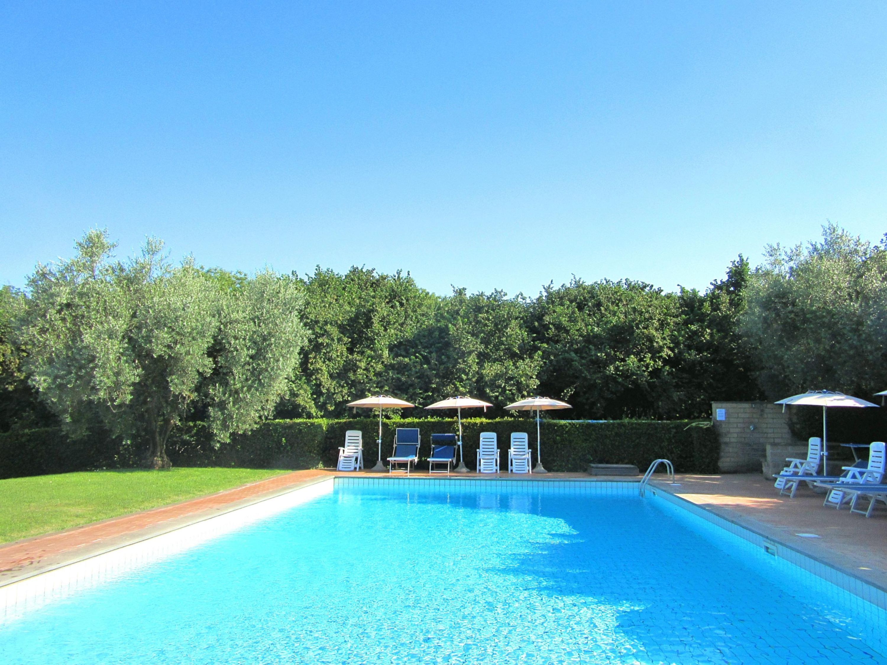 A swimming pool with lounge chairs and umbrellas, surrounded by a hedge and trees.