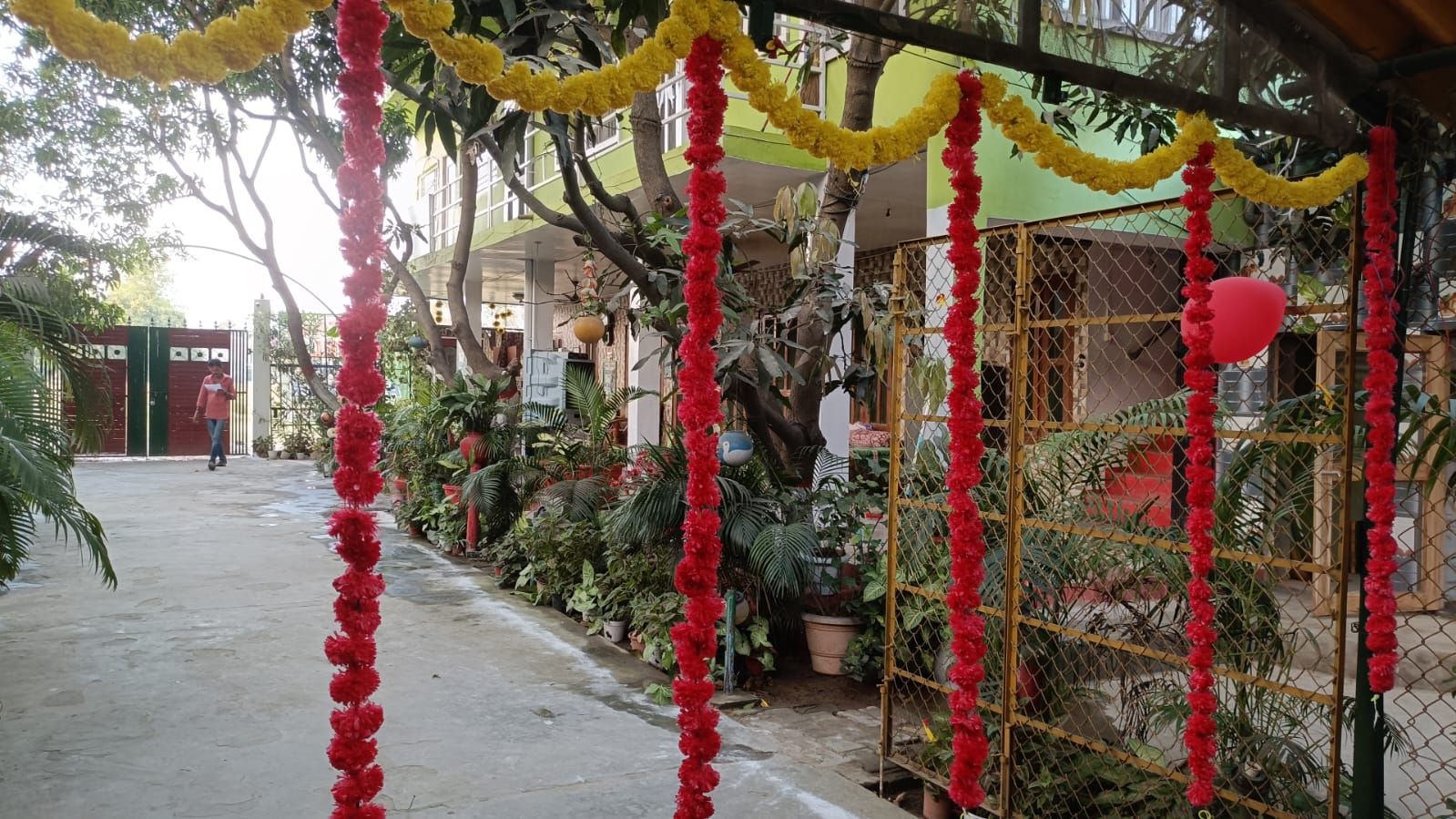 A courtyard with potted plants, a gate, and a person walking away.