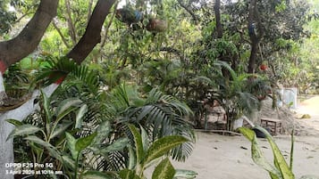 Pemandangan taman