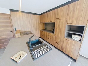Eine moderne Küche mit Holzausstattung, einer eingebauten Spüle und einer Arbeitsplatte.