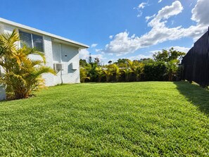 A residential property with a well-maintained lawn, a white brick house, and a black fence. - Sawtell Garden House Dog Friendly Huge Yard Sleeps 6 (Sawtell)