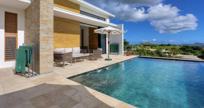 Premium hilltop villa with panoramic sea view in Mont-Passot - Villa Katrafay