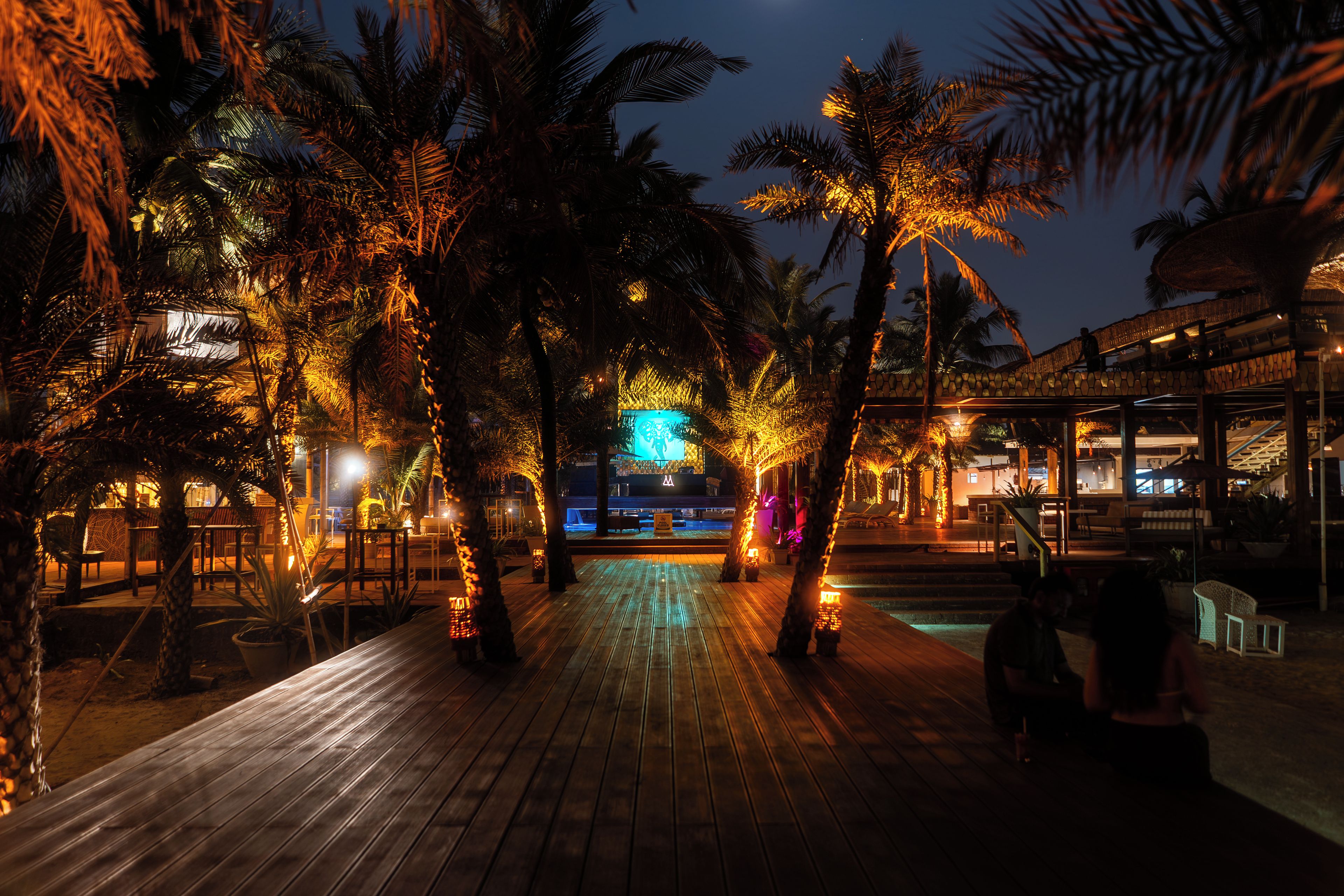 A nighttime outdoor area with palm trees, wooden flooring, and ambient lighting.