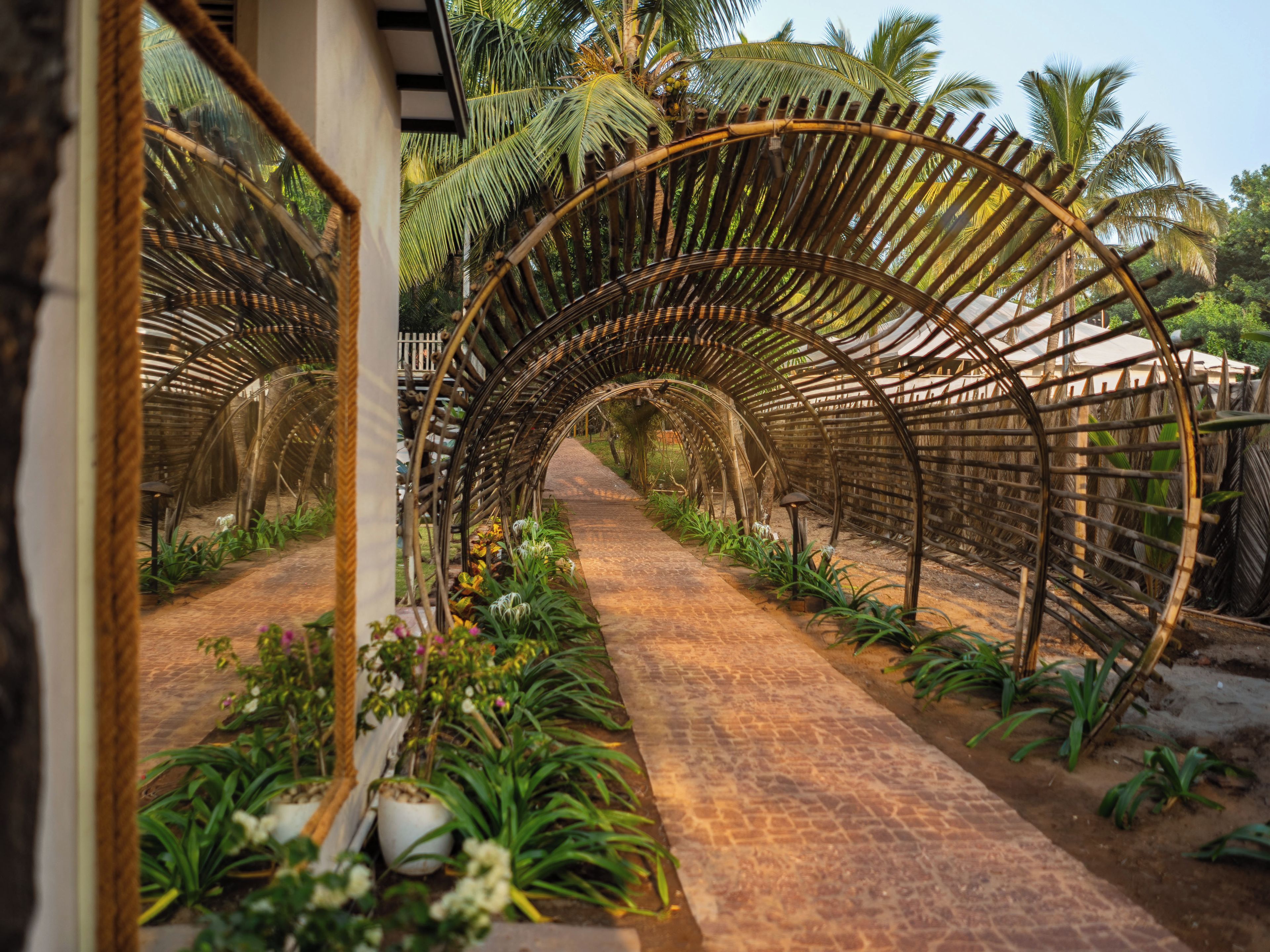 Un sendero con un arco de bambú que conduce a un edificio, rodeado de plantas tropicales y palmeras.