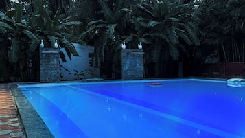 A swimming pool with a stone wall and palm trees in the background.