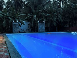 A swimming pool with a stone wall and palm trees in the background.