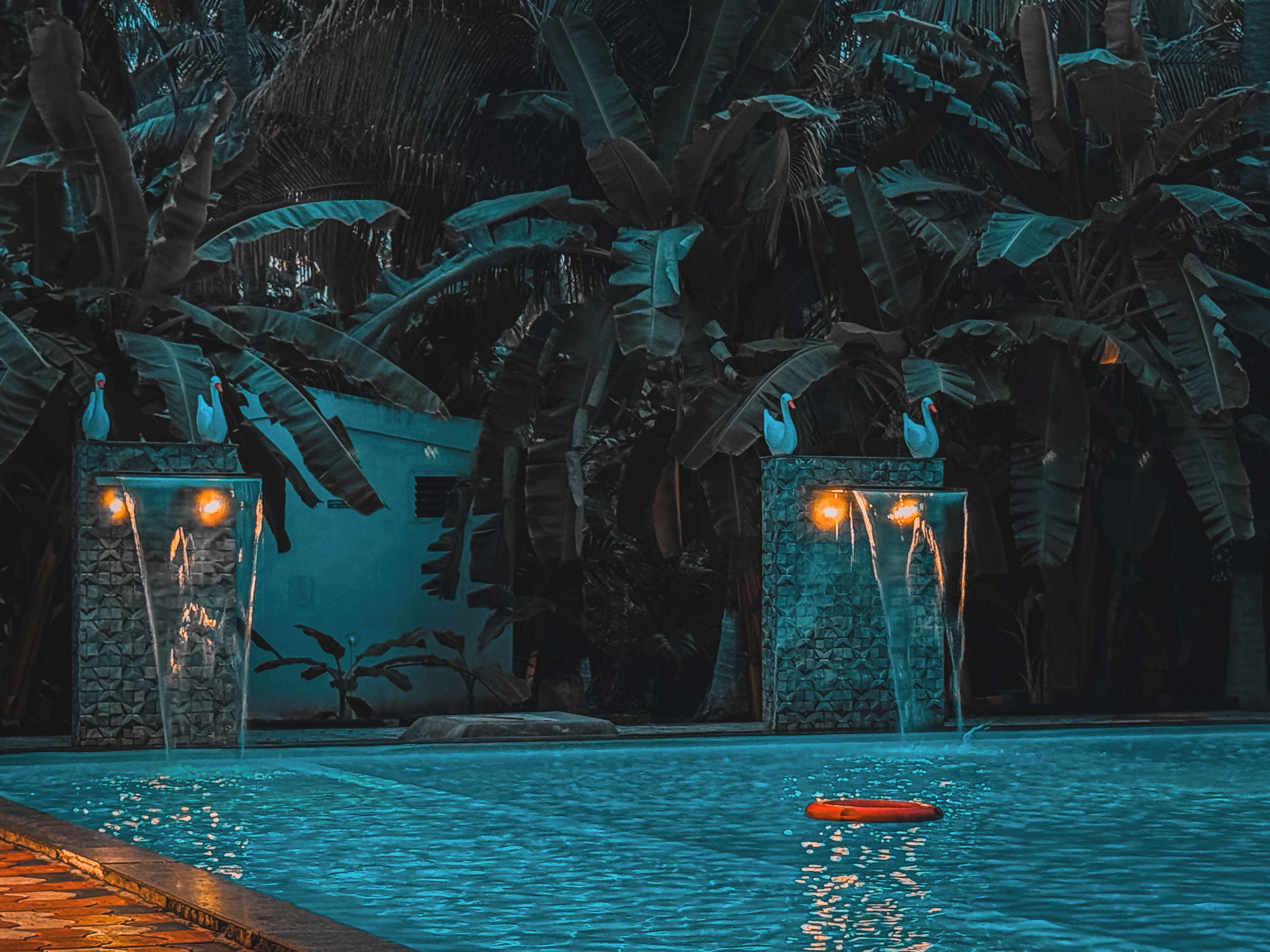Una piscina con fuentes de agua y estatuas de cisnes, rodeada de follaje tropical.