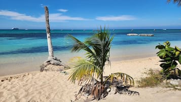 Una playa con agua turquesa cristalina, una palmera y una orilla arenosa.