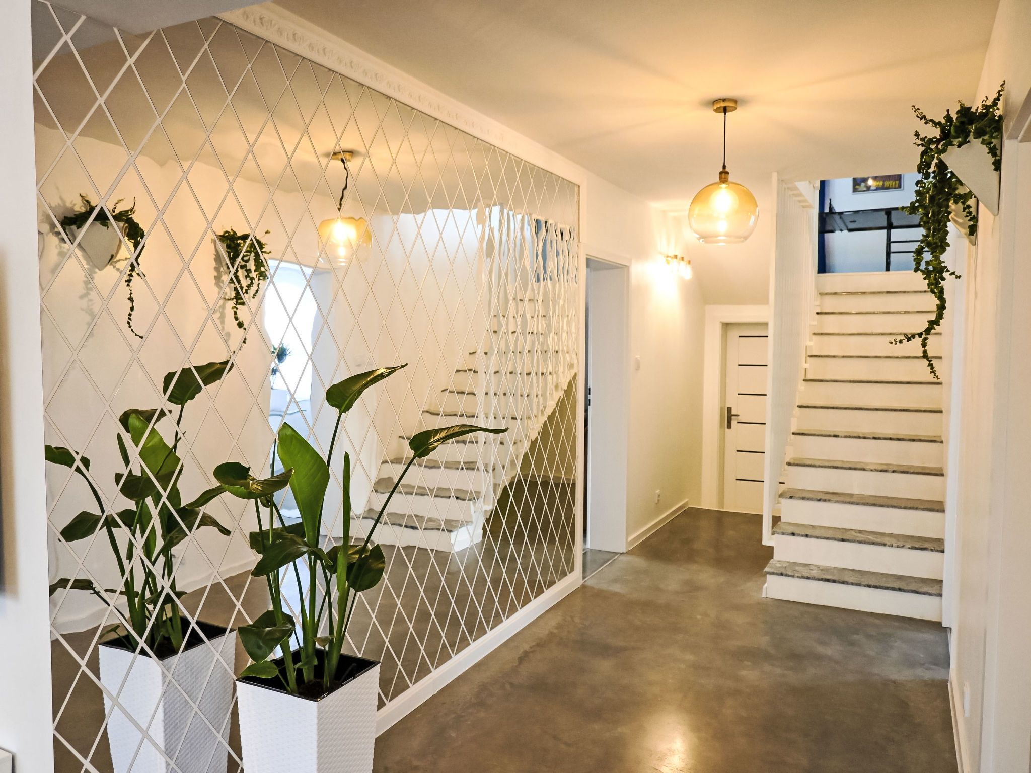 Un couloir avec un mur de séparation blanc, des plantes en pot et un escalier.