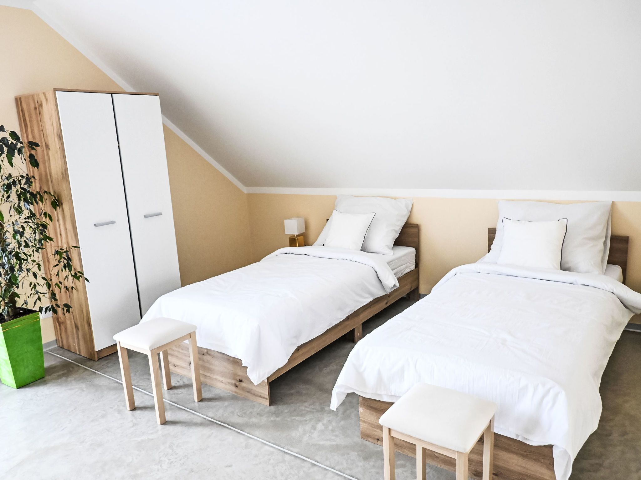 Un dormitorio con dos camas individuales, un armario de madera, una planta verde y un banco.