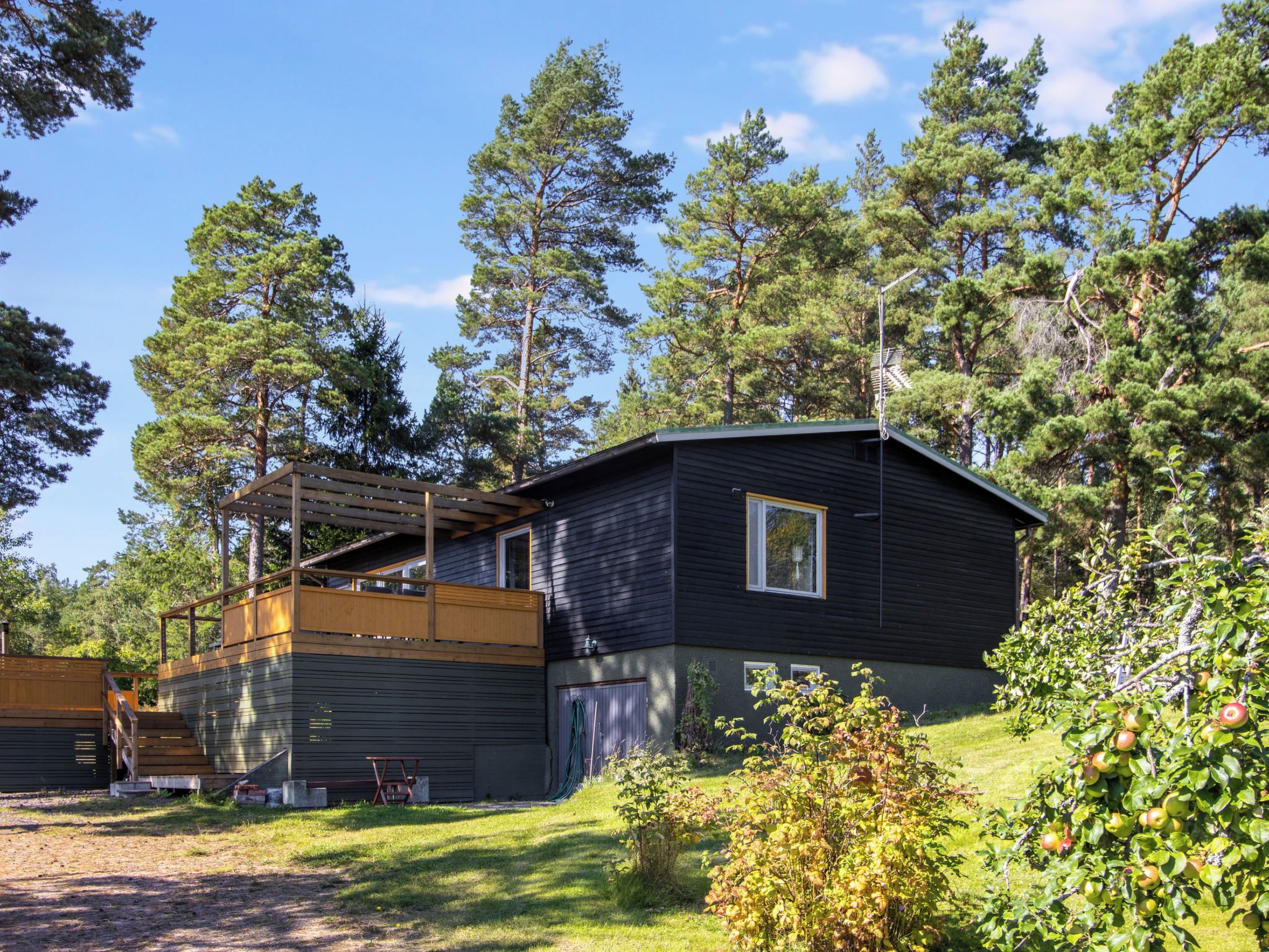 Une cabane dotée d’une terrasse, entourée d’arbres.
