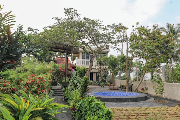 A courtyard with a swimming pool, surrounded by various plants and trees.