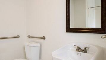 A bathroom with a toilet, a sink, and a mirror.