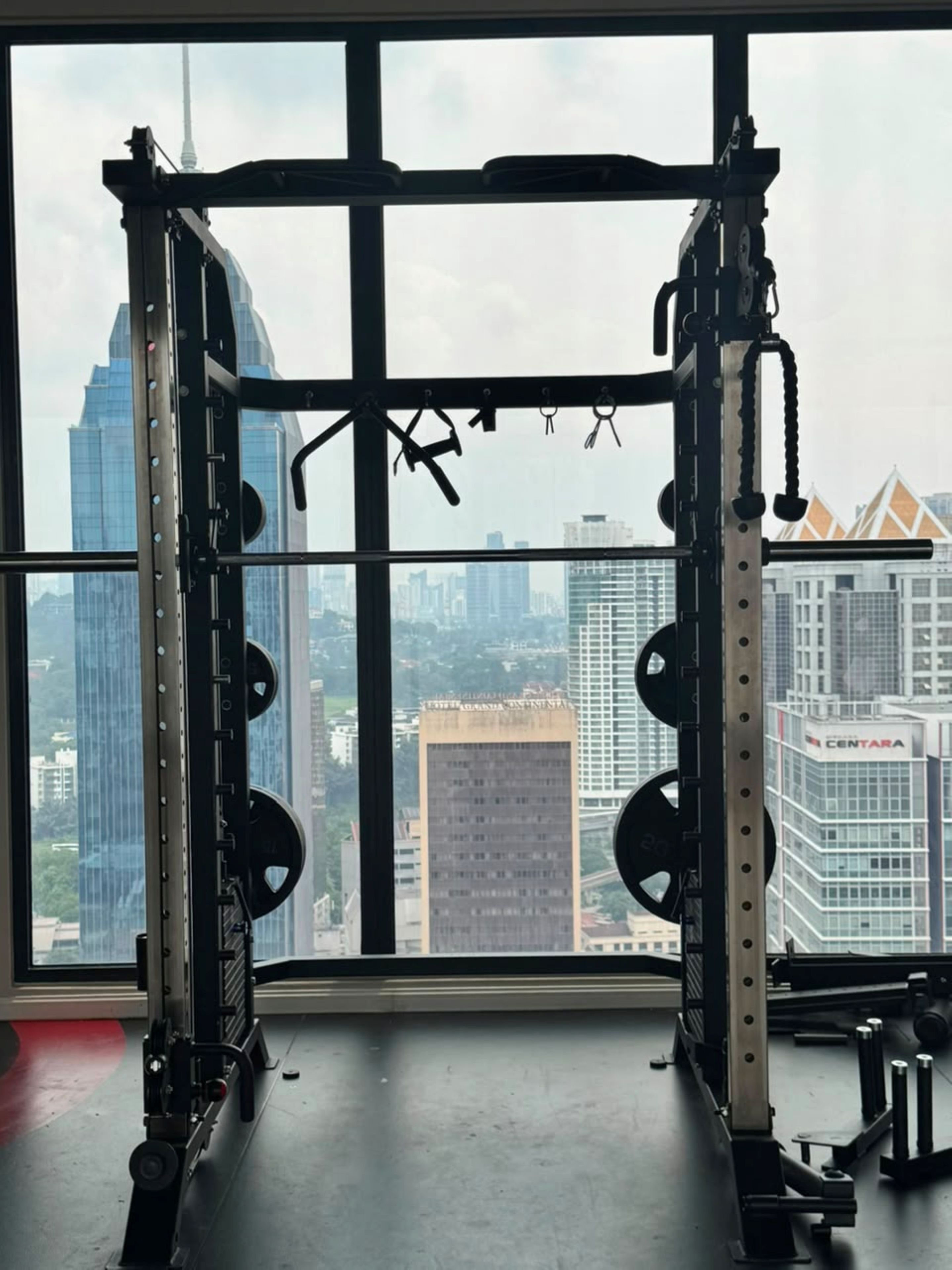 Un gimnasio con un rack para sentadillas y discos de pesas, una barra de dominadas y vistas a un paisaje urbano a través de amplias ventanas.