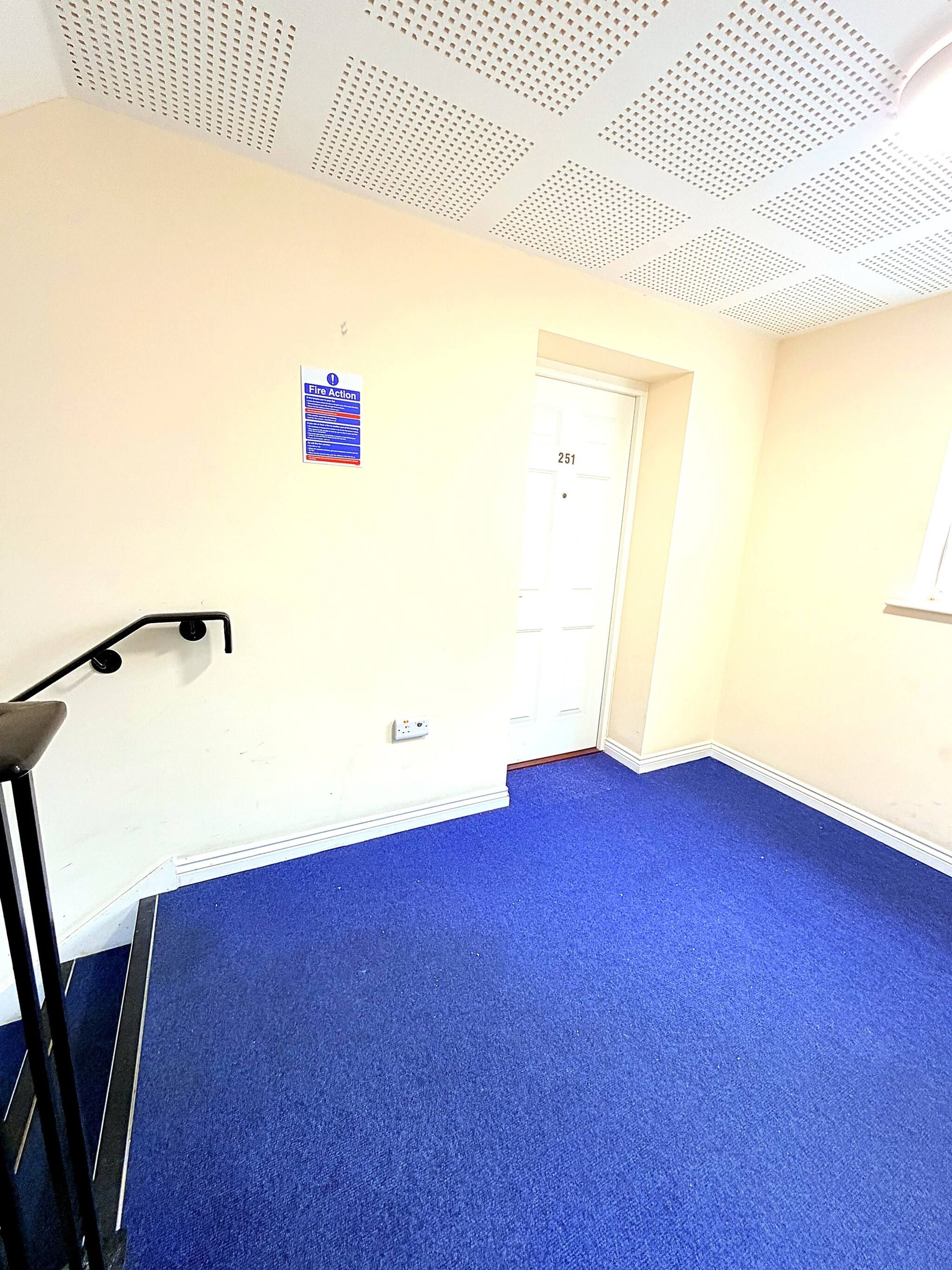 Een kamer met een blauw tapijt, een witte deur met het nummer 251 en een wit plafond met een geperforeerd patroon.