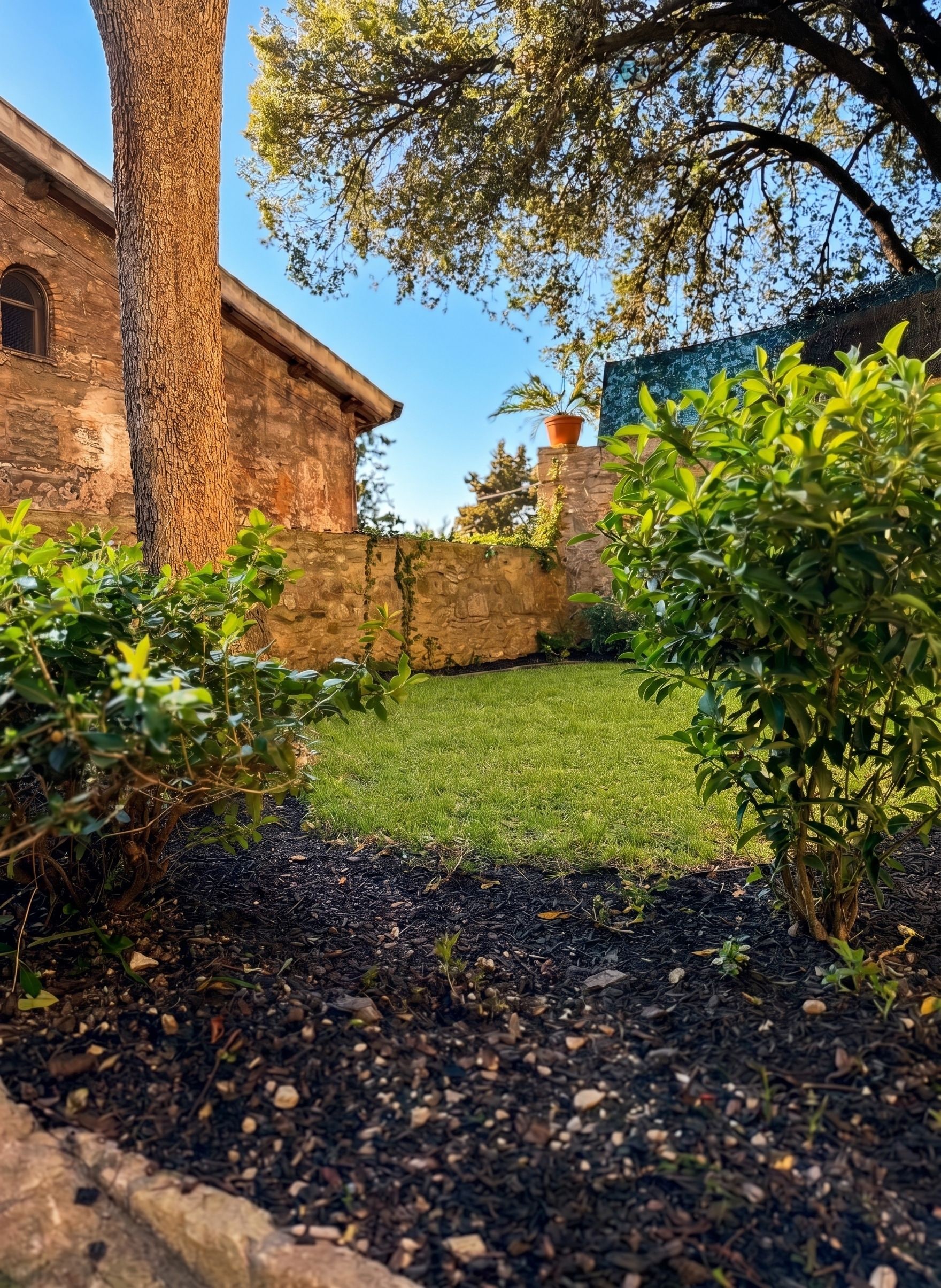 A landscaped garden with a lawn, a tree, and a stone wall.