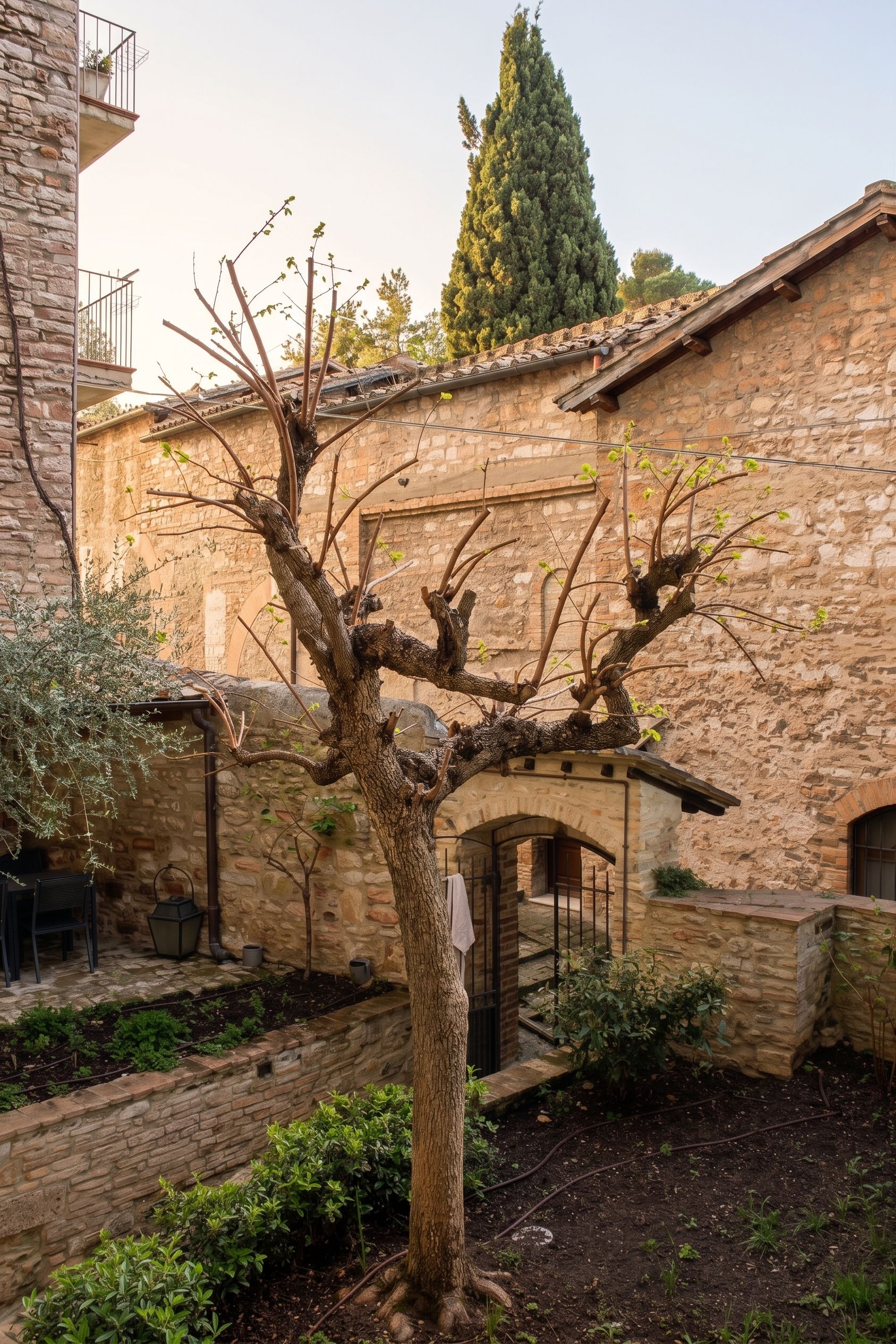 Ein Gebäude aus Stein mit einem Baum im Innenhof.