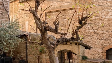 Ein Gebäude aus Stein mit einem Baum im Innenhof.