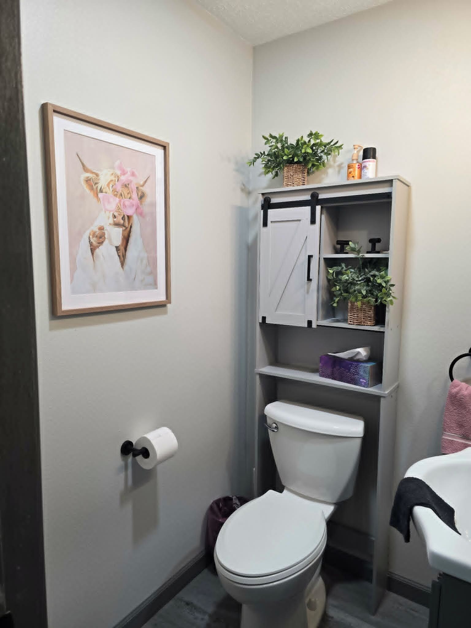 Un baño con inodoro, un rollo de papel higiénico, una estantería con plantas y un cuadro en la pared.