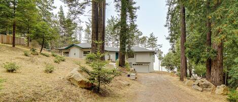 A residential area with two houses, a gravel driveway, and a forested backdrop.