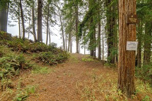 A forest trail with signs indicating it is the Timber Cove Trail, accessible only to residents.