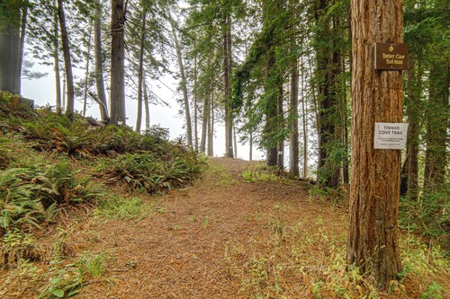 Ocean-View Timber Cove/Jenner Extended Stay Studio