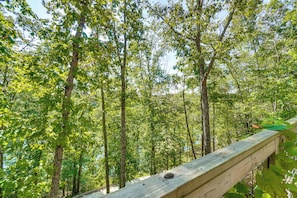 Ein Holzpfad führt durch einen Wald mit hohen Bäumen und blauem Himmel.