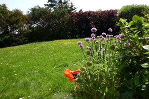 Ein Garten mit verschiedenen Blumen und viel Grün.