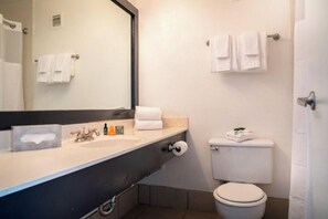 Un bagno moderno con lavandino, specchio e servizi igienici.