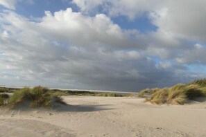 En sandstrand med sanddyner och en molnig himmel.