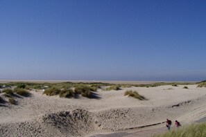 A beach with dunes and a clear sky. - Holiday apartment in Borkum with barbecue (Borkum)