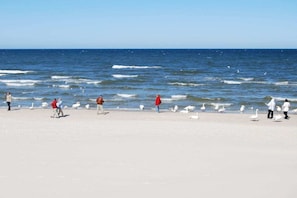 A beach with people and seagulls, and the ocean in the background. - One-bedroom guesthouse in Poland (Grzybowo \/ Kolberg)