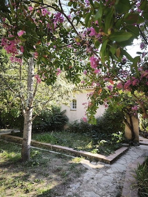 Un jardín con un camino de piedra que lleva a un edificio con una ventana.