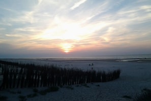 A beach scene with a sunset, sand, and sparse vegetation. - Gertrude's Country House (Juist)