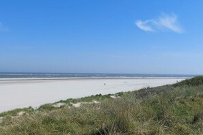 Ein Strand mit Sand und vereinzelter Vegetation.