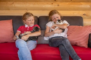 Two individuals sitting on a red sofa with striped pillows, holding cats. - Conny's Nature Mountain Hut (Grosskirchheim)