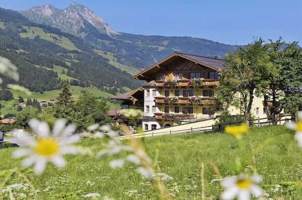Exterior - Apartment in Dorfgastein with swimming pool (Dorfgastein)