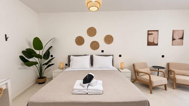 Ein Hotelzimmer mit einem großen Bett, einem Nachttisch, einem Sessel, einem kleinen Tisch, einer Topfpflanze und Wanddekoration.