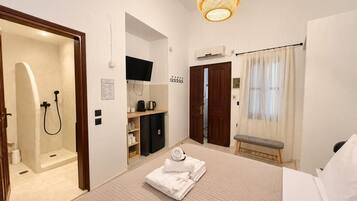 Una habitación de hotel con cama, ducha, televisión, escritorio y un banco.