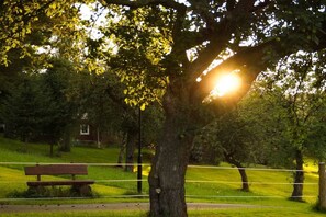 Een park met een bank, bomen en een hek.