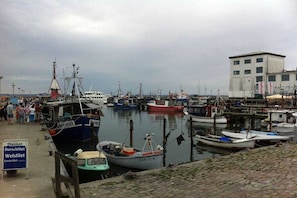 Ein Hafen mit mehreren vertäuten Booten, einem Gebäude mit Beschilderung und einem gepflasterten Weg.
