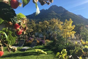 A garden with a mountain view, outdoor seating, and a variety of plants. - Tyrolean charm in the Stubai Valley - NEW! (Telfes im Stubai)