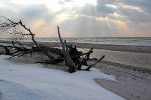 Una playa con ramas a la deriva y nieve sobre la arena.