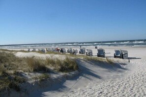 Ein Strand mit Reihen von Liegestühlen und einem sandigen Pfad, der zum Wasser führt.