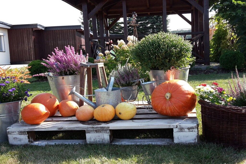 A wooden bench with potted plants and pumpkins in a garden setting.