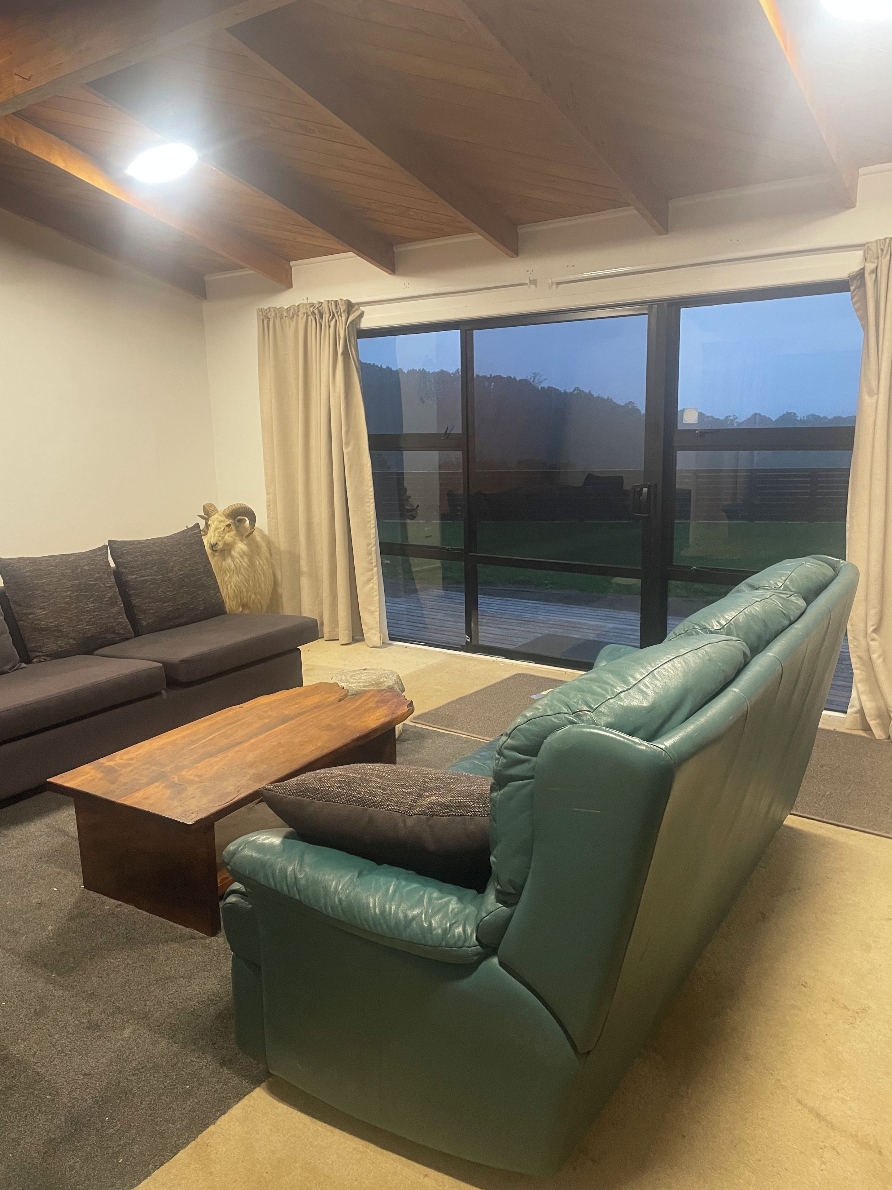 A modern living room with a green leather sofa, a wooden coffee table, and a dark-colored sofa.