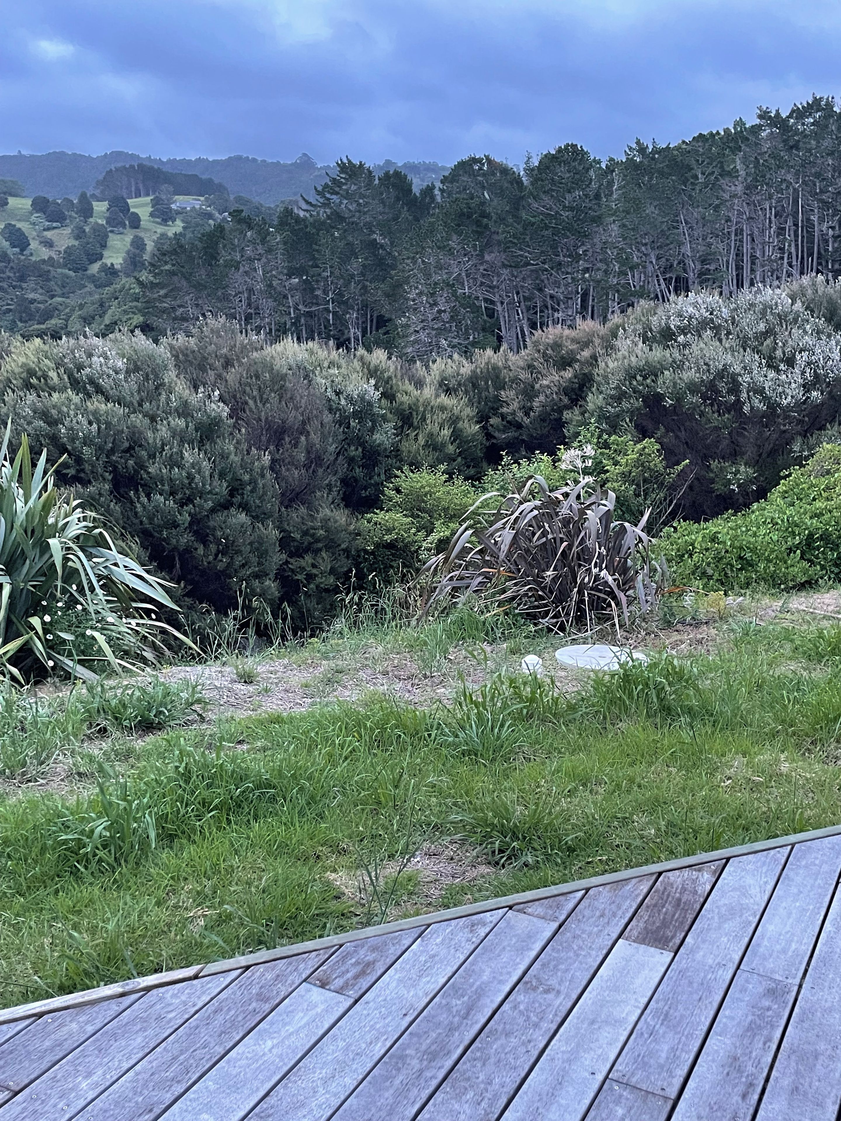 A wooden deck with a view of a natural landscape including trees and shrubs.